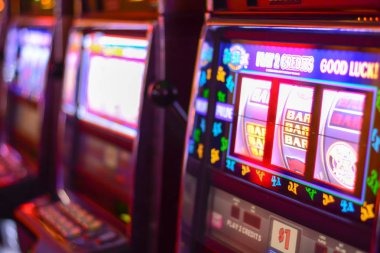 pgtoto What Makes Bingo Different